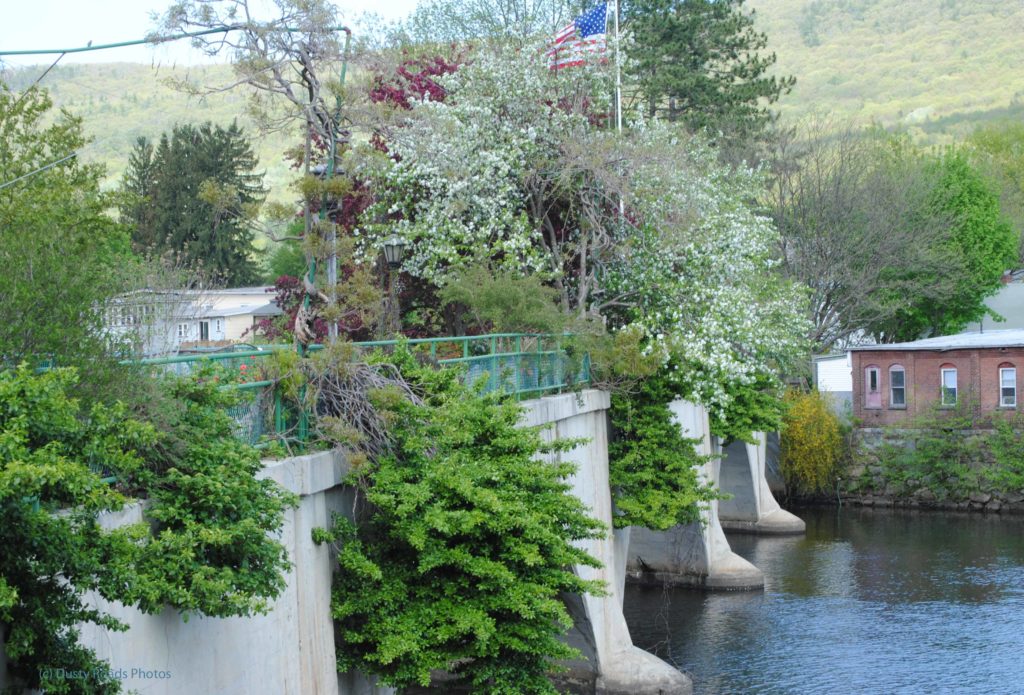 Bridge of Flowers is a truly magnificent concept. Its a lovely place for a visit