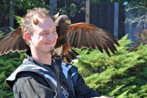 “Person standing outdoors with a large hawk perched on their shoulder, wings spread wide. The person is wearing a jacket and small horn-like accessories on their head. Green bushes and a dark fence appear in the background.”