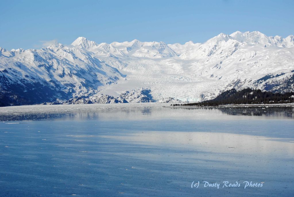 College Fjord Glaciers