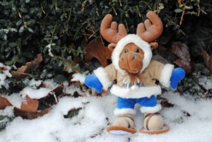 Yes it's March in New England if its not mud its still snow.