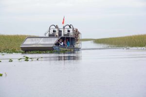 An airboat carrying several passengers travels across calm water in a marsh. The flat-bottomed boat, topped with a large rear fan and a small orange safety flag, moves through a channel bordered by tall grasses. Scattered aquatic plants float on the water's surface beneath an overcast sky.