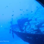 The untouched shipwreck photo showing the quiet underwater scene before enhancement.