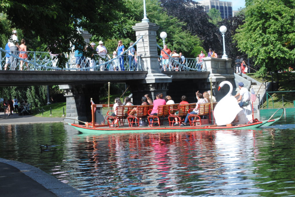 Swan boat cruising the Public Garden lagoon on a sunny day, passing under the little suspension bridge everyone loves to photograph.