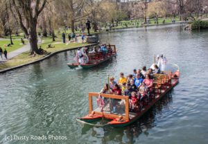 Swan boats in the public garden boston