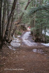  “Snow‑dusted forest trail winding through tall trees with patches of snow on the ground. A person in a red jacket walks in the distance, surrounded by dense green foliage and soft winter light.”
