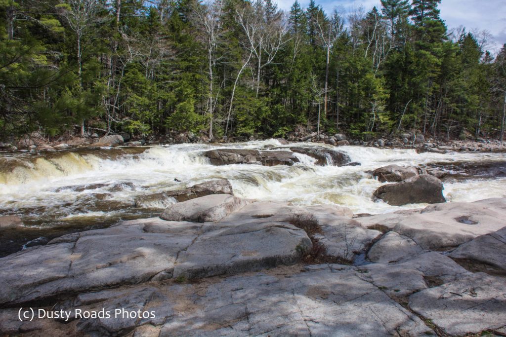 Fast‑moving river water cascades over rocks, creating white rapids surrounded by smooth stone formations and a dense forest of evergreen and deciduous trees.