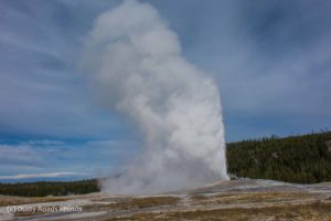 Old Faithful Erupts