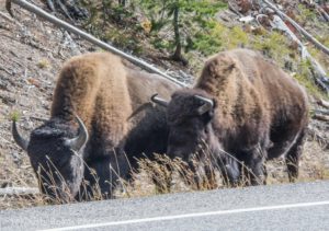 Getting ready to pass by