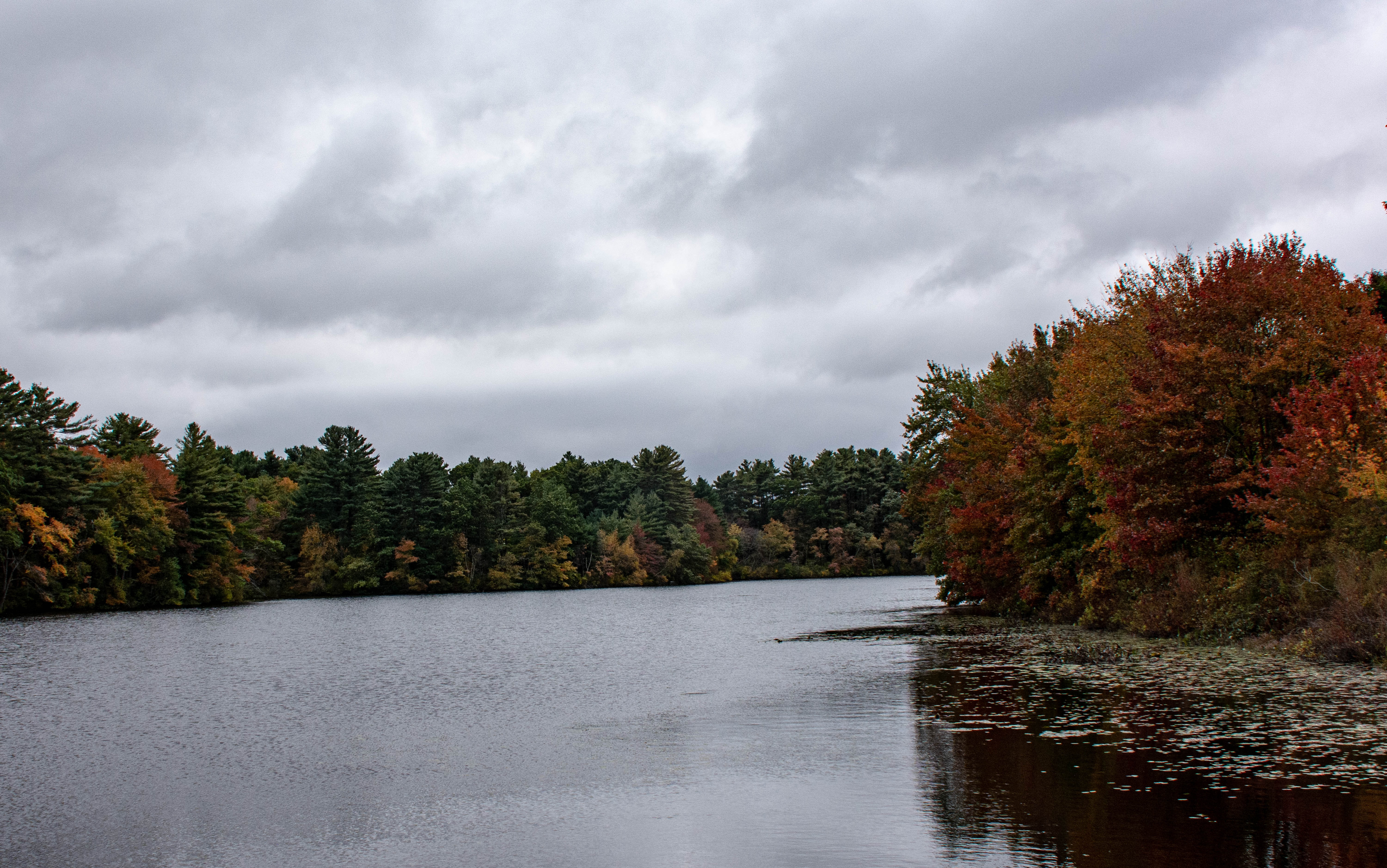 Norton Pond