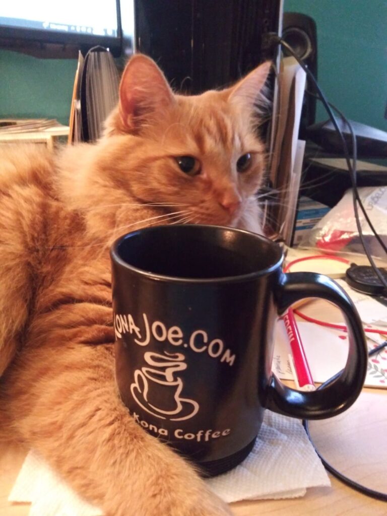 Banner the ornage cat reves up with a cup of Joe before planning his daily does of chaos