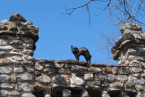Cats of Gillette Castle