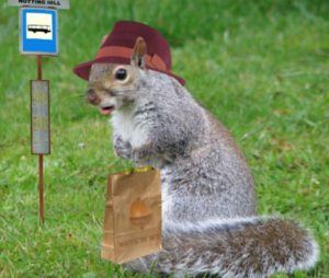 Elderly "Florida" squirrel returns from shopping