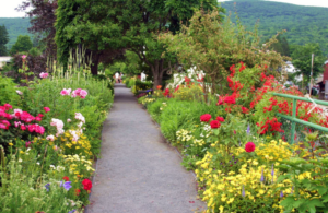 Bridge of flowers in Shelbourne MA