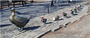 Bronze sculptures of a mother duck and her ducklings line a cobblestone path in a park, each duck wearing small decorative hats and ribbons. Benches and trees sit in the background, creating a charming Public Garden scene.