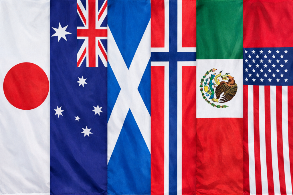 Flags of Japan, Australia, Scotland, Norway, Mexico, Canada, and the United States displayed side by side representing the international visitors at the World Cup.
