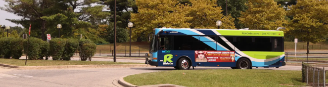 Public transit bus on a quiet road surrounded by trees.