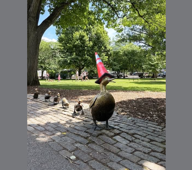 Bronze Mrs. Mallard statue in the Public Garden wearing a traffic cone during the Scottish festivities.