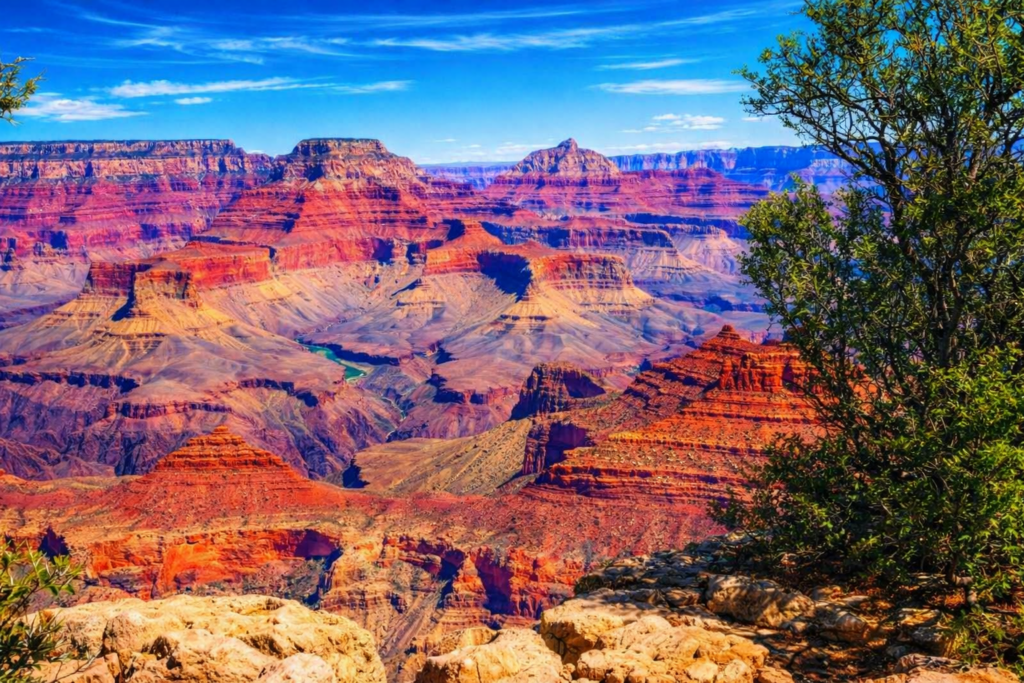 Wide view of the Grand Canyon showing layered red, orange, and tan rock formations under a clear blue sky. A green tree frames the right side, and sunlight highlights the canyon’s depth and geological details.”