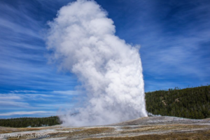 A powerful geyser eruption sending steam and water upward, surrounded by grassy terrain and a forested backdrop.