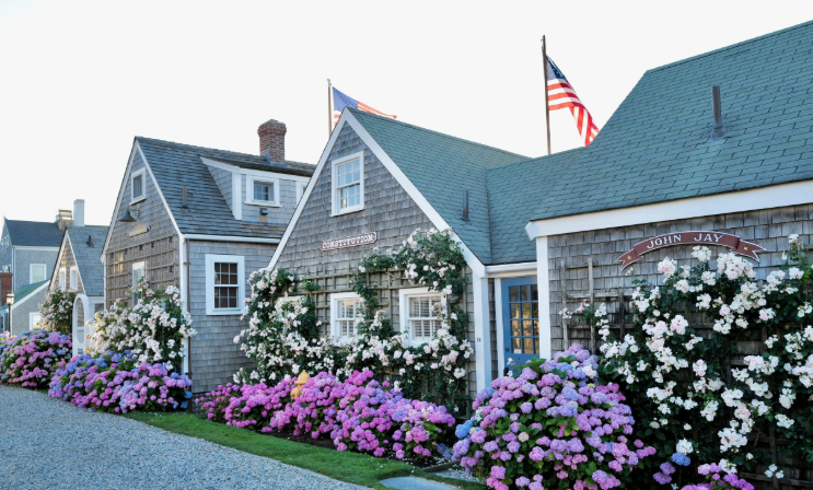 A row of weathered gray shingled cottages with green roofs, white trim, and climbing summer flowers in pink, purple, and white. Small signs reading “Constitution” and “John Jay” hang on the buildings, and American flags fly above them. The scene looks like a tidy, historic seaside village.
