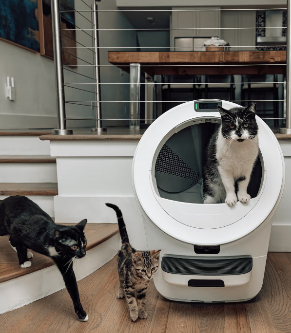 Three cats interact with a Litter‑Robot automated litter box, with one cat sitting inside the $900 self‑cleaning unit and two others standing nearby in a modern home. Great example of how multi‑cat households use high‑end automatic litter boxes.