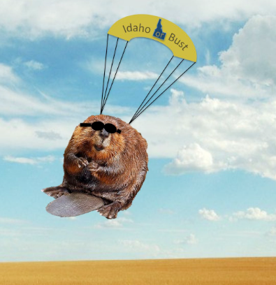 A cartoon beaver wearing black sunglasses parachutes through a partly cloudy sky. The yellow parachute above it reads “Idaho or Bust” with a small blue silhouette of Idaho. A flat, golden-brown landscape stretches below, creating a humorous, adventurous scene.