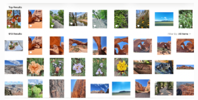 A grid of small photo thumbnails from my digital photo library, showing a mix of desert landscapes with red rock formations, blue skies, and close‑up shots of colorful flowers and plants.