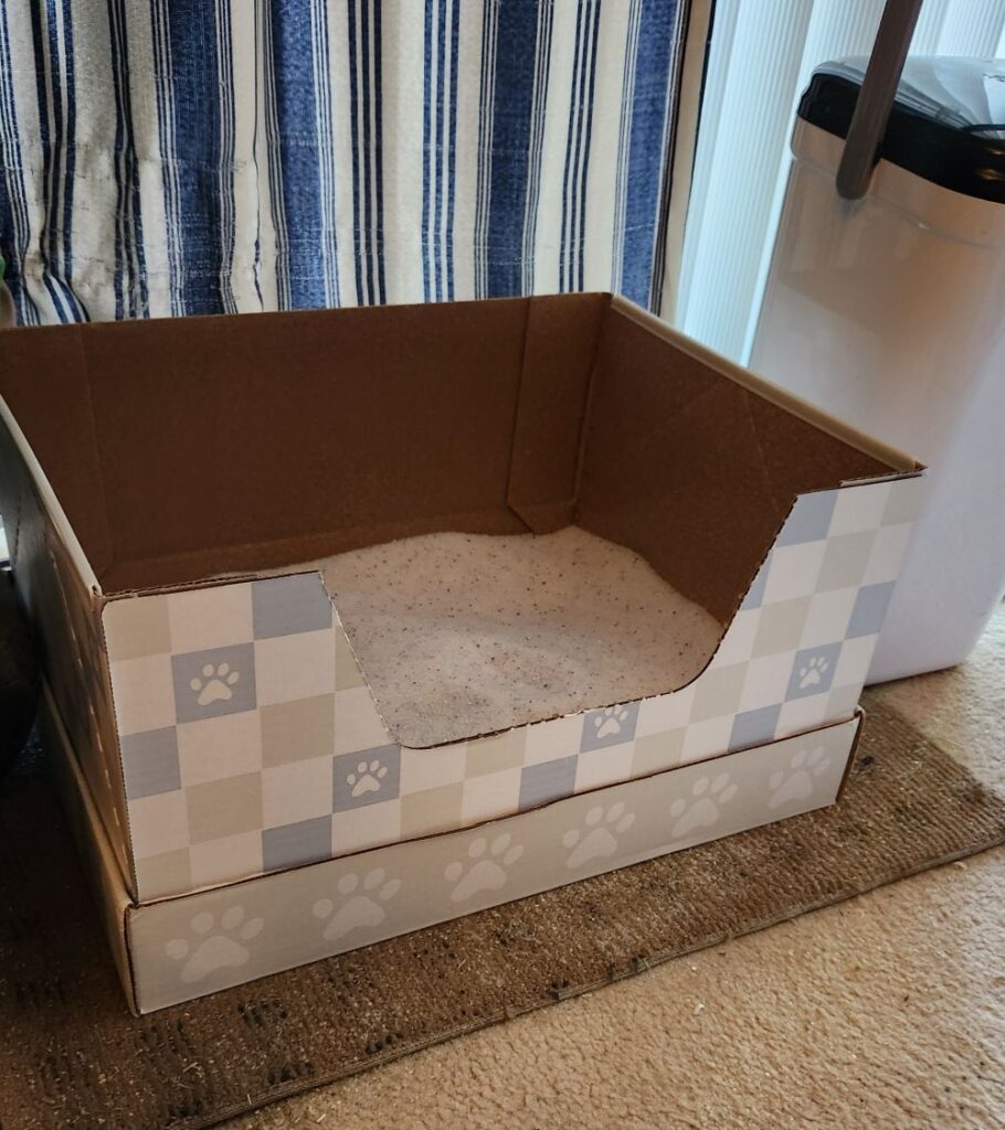 cardboard litter box set up in front of striped curtains and on brown rug
