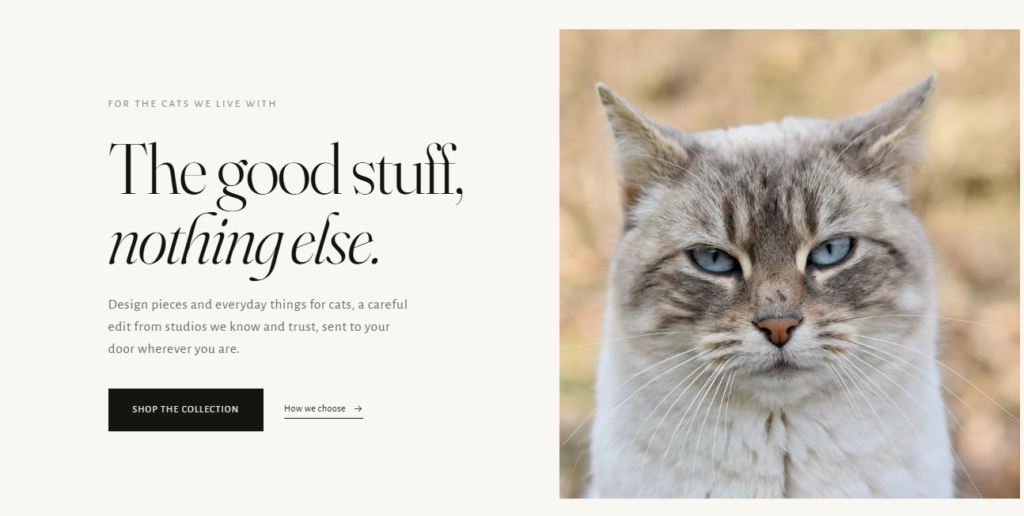 A close-up of a blue‑eyed gray and white cat beside elegant promotional text describing a premium cat brand, with buttons to shop the collection and learn how products are chosen.