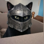 “Black cat sitting inside a cardboard box while wearing a metallic knight-style helmet that covers most of its face except the eyes and ears. A wooden bedpost and light blue wall are visible in the background.”