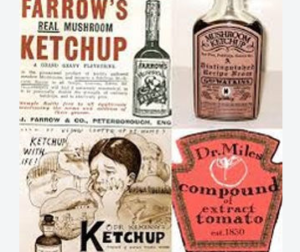 A collage of vintage ketchup advertisements and labels, including old mushroom ketchup bottles, early medicinal-style ketchup branding, and historic tomato extract labels, showing how ketchup was once marketed in many different forms.