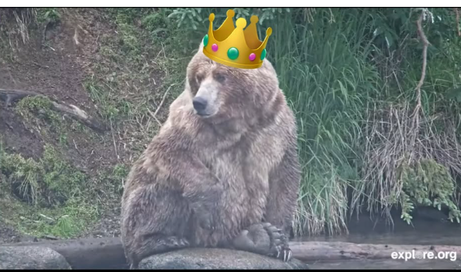  A large brown bear sits on a rock beside a river, wearing a digitally added jeweled gold crown. Green grass and vegetation fill the background as the bear looks forward with a calm, regal expression.