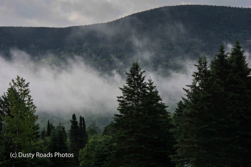 A misty Vermont forest with dense evergreens and low‑lying fog drifting through the trees, with a shadowed mountain rising in the background.