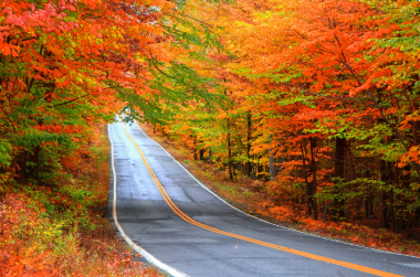 A curving paved road with double yellow lines winds uphill through a dense autumn forest, surrounded by vivid red, orange, yellow, and green foliage on both sides.
