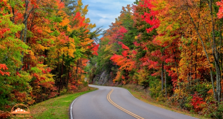 A curving paved road winds through a dense forest of trees in peak autumn color, with bright red, orange, yellow, and green foliage lining both sides under a partly cloudy blue sky.