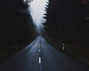  A long, wet road stretches into dense fog, flanked by tall dark trees on both sides, with the centerline reflecting faint light and visibility fading into a moody, mysterious haze.