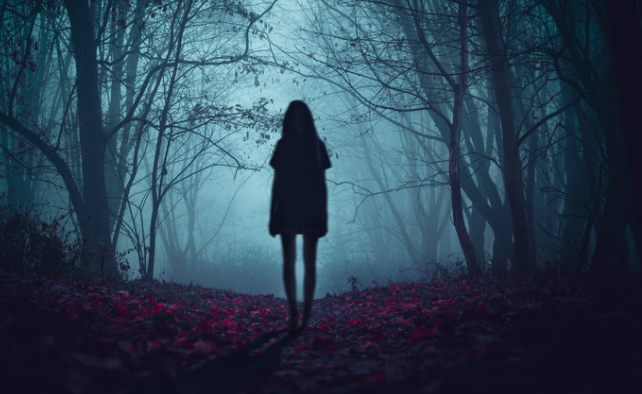  
A lone figure stands on a forest path surrounded by tall, bare trees. Cool blue light filters through the mist, creating an eerie, dreamlike atmosphere. The ground is covered in reddish leaves that contrast sharply with the blue haze. The person faces away from the viewer, adding a sense of mystery and quiet tension to the scene.