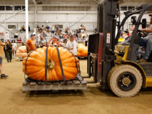 A massive pumpkin sits on a wooden pallet, secured with black straps, while a forklift lifts it inside an indoor event space. Several people stand around watching, indicating it’s part of a pumpkin weigh‑off at the Topsfield Fair.