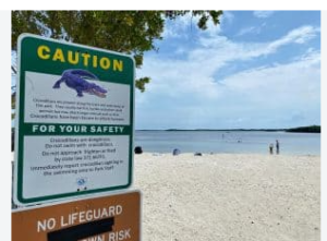 “Beachside caution sign warning about alligators and crocodiles, with white sand and visitors near the shoreline in the background.”