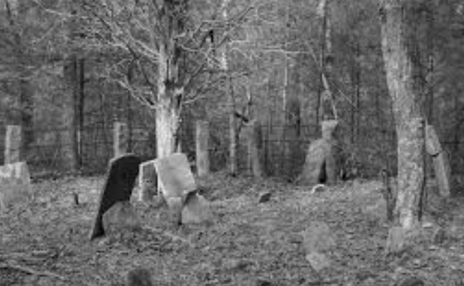 Old, overgrown cemetery in a wooded area with weathered, tilted gravestones surrounded by bare trees and fallen leaves.
