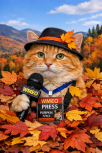 Pumpkin Spice, an orange tabby cat dressed as a WMEO field reporter, sits partially buried in a pile of colorful autumn leaves. He wears a black hat with an orange band and small leaves tucked into it, and holds a WMEO microphone in his paw. A WMEO press badge hangs from a blue lanyard around his neck. Behind him, New England mountains covered in peak fall foliage rise under a bright blue sky with scattered clouds.