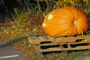A huge carved pumpkin sits outdoors on a stack of wooden pallets. It has triangular eyes and a wide smiling jack‑o’-lantern mouth, with autumn foliage in the background.