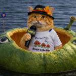 Pumpkin Spice, an orange cat dressed in a WMEO reporter hat and “Boogie in the Bog” T‑shirt, sits inside a decorated green pumpkin boat floating on the water. He holds a WMEO microphone while the pumpkin boat’s painted eyes and colorful antenna-like decorations stand out against the shoreline in the background.