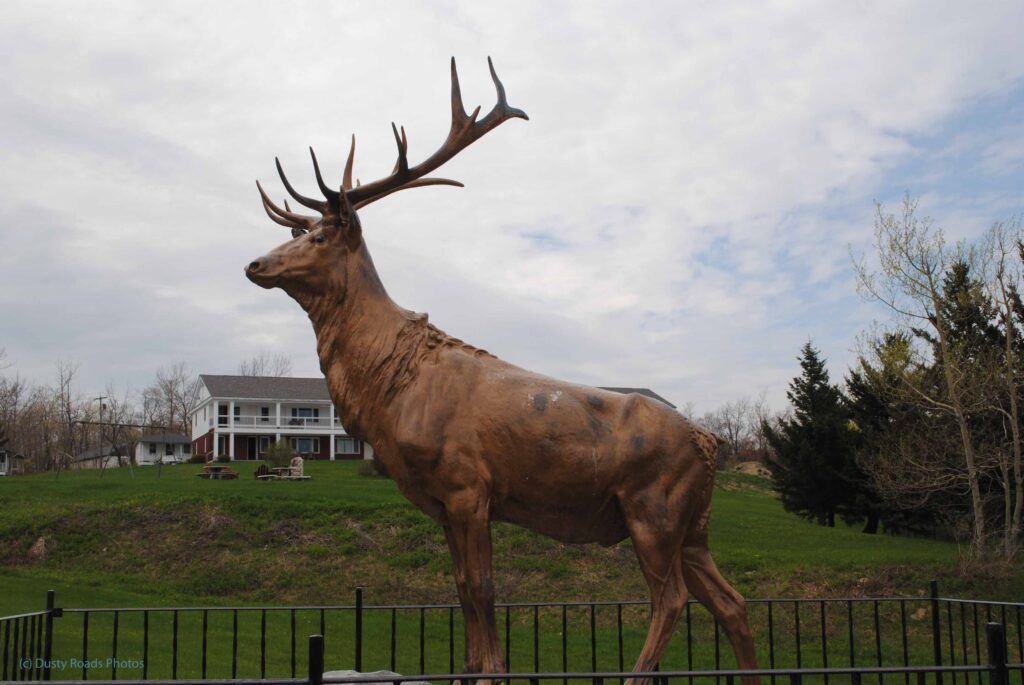  Large bronze elk statue standing behind a black metal fence in Charlemont, Massachusetts, a well‑known roadside landmark along the Mohawk Trail with a house and trees in the background.