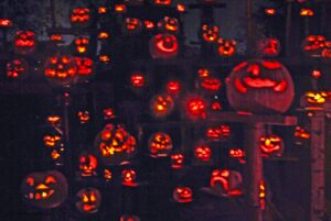  A large group of carved pumpkins glows in the dark, each with a unique face ranging from cheerful to spooky. The pumpkins are arranged at different heights, creating a bright, warm display against the black background.